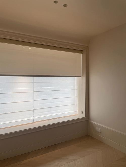 Indoor Smart Electric Blackout Window Motorized Roller Blinds Motorised Automatic Office Cordless Roller Blinds