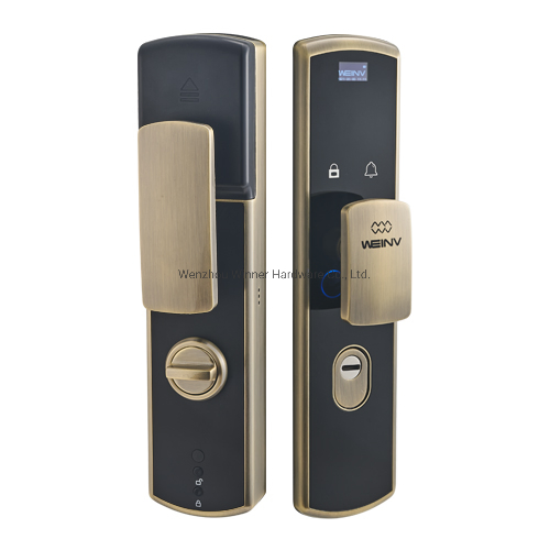 Multi-Point Smart Lock with Fingerprint Unlocking