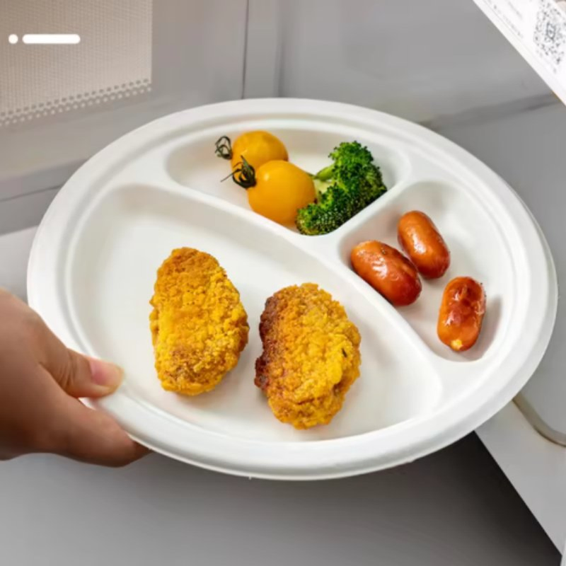 Degradable Moisture-Pressed Pulp Disposable Salad Lunch Plate