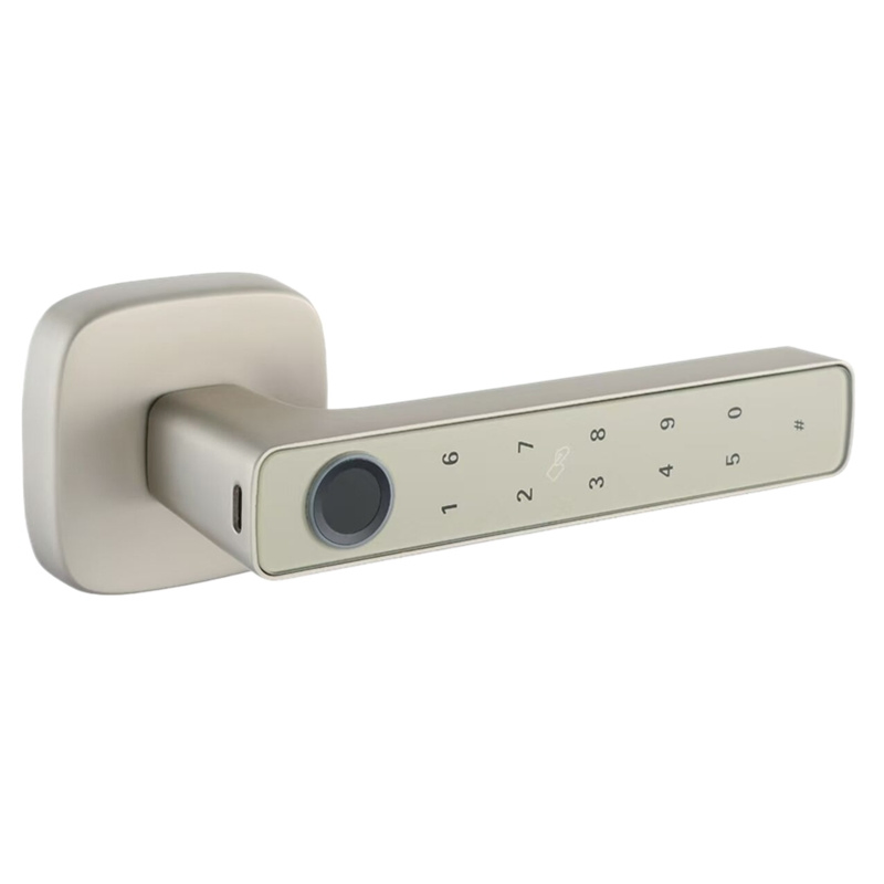 Advanced Encryption System CS8 Smart Lock