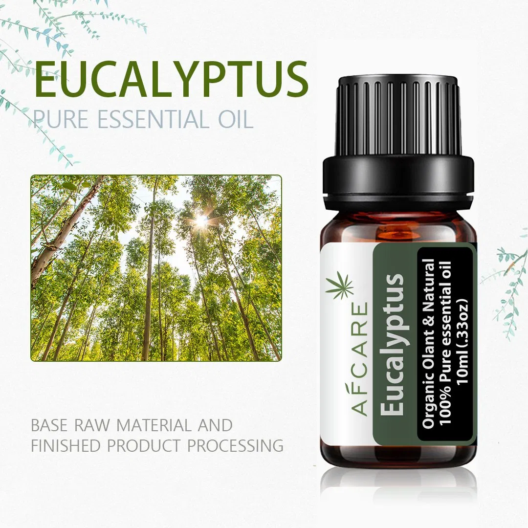 Pure Therapeutic OEM Eucalyptus Essential Oil Private Label Relieve Scalp Discomfort Reduce
