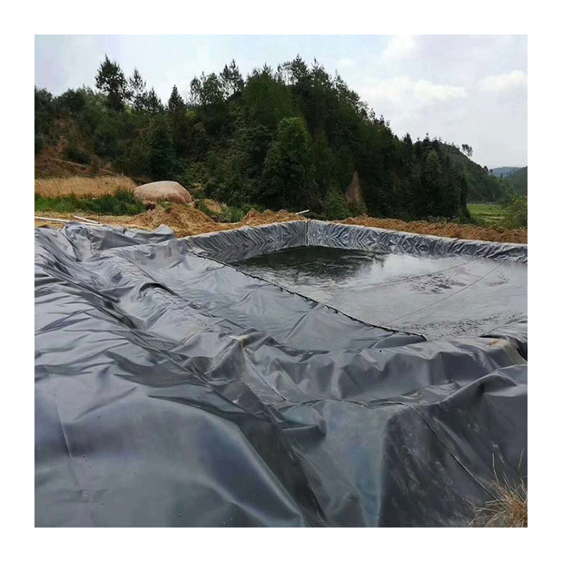 Factory Price HDPE Geo Membrane Liner 0.5mm 1mm 2mm Thickness Geomembrane for Dam Fish Farm Tank Pool Pond Use