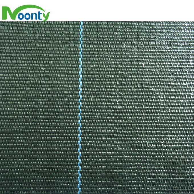 Durable PE Ground Cloth Weed Control Fabric Anti Grass Ground Cover