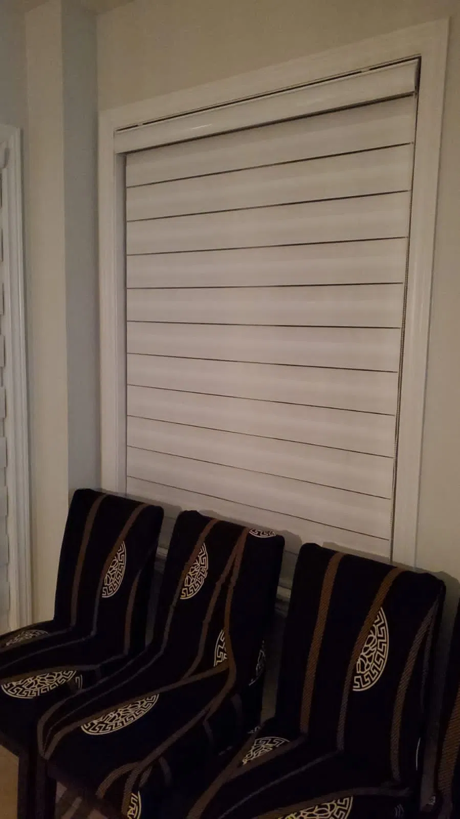 Hotel Use Promotion Window Roller Rainbow Colored Sheer Shades Blackout Zebra Blinds