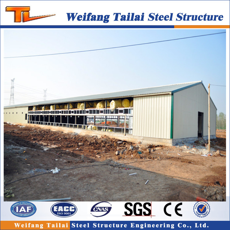 Steel Structure Fiberglass Sandwich Panel Poultry Chicken Farm House