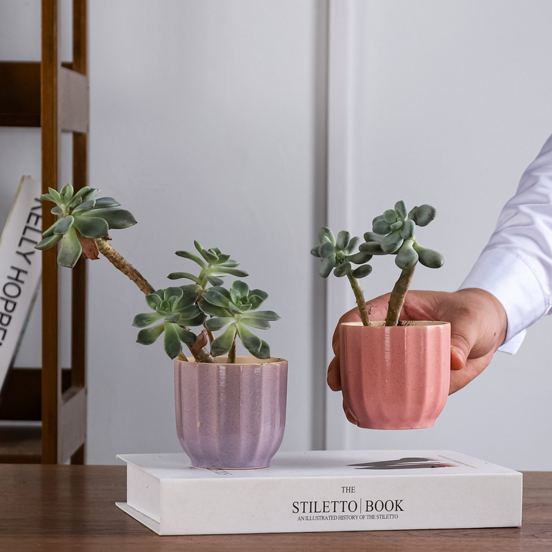 Горшки керамические многоцветные для дома сада