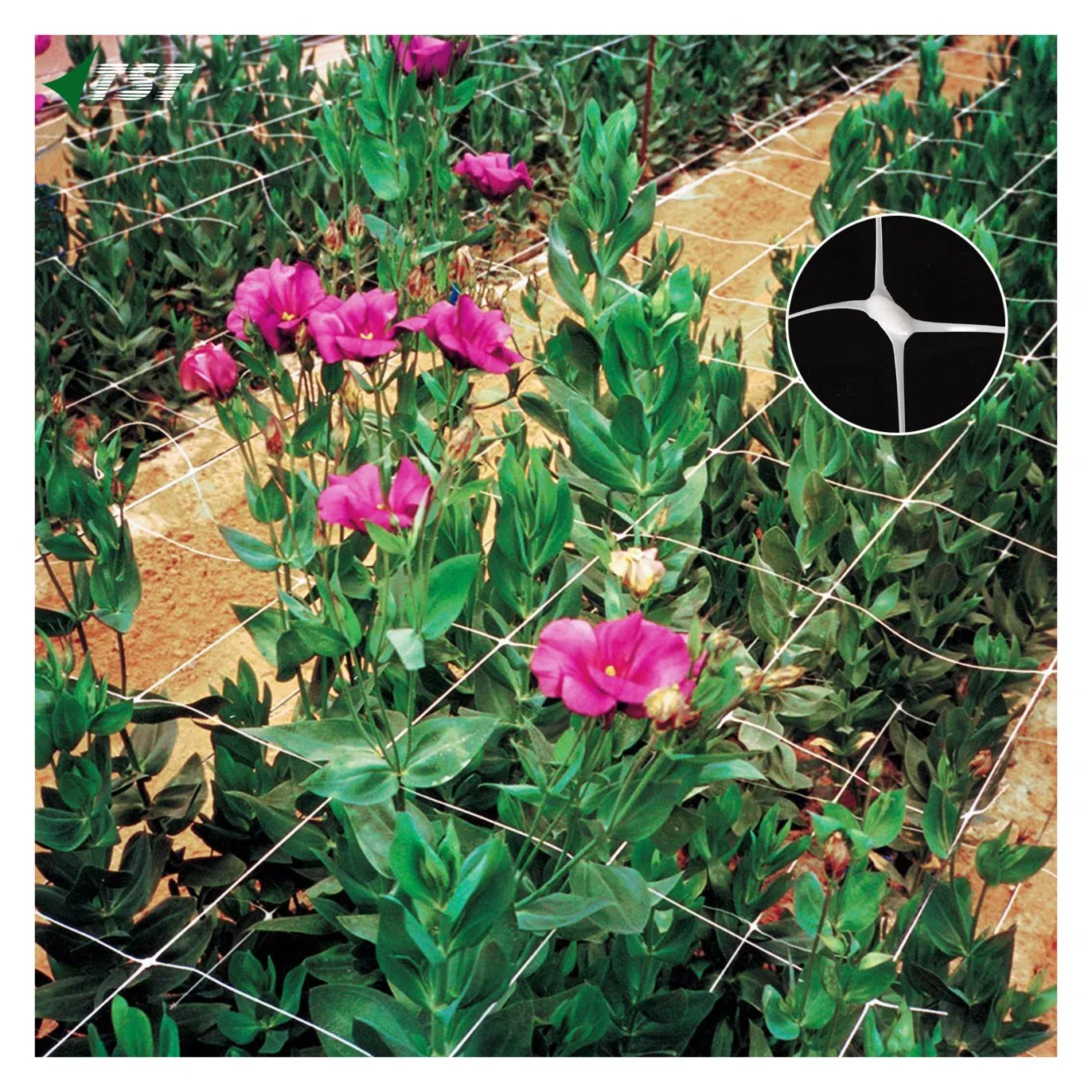 6-Inch Square Mesh PP Plastic Plant Trellis Support Net for Vertical Gardening