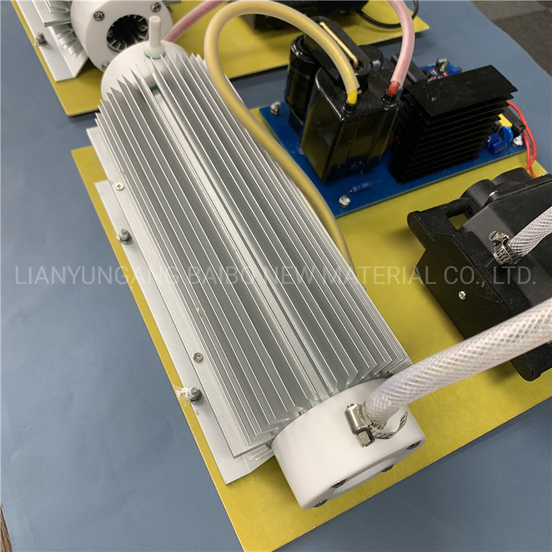Ozone Module Water Purification Integrated 110V 10g 20g Quartz Ozone Gernerator