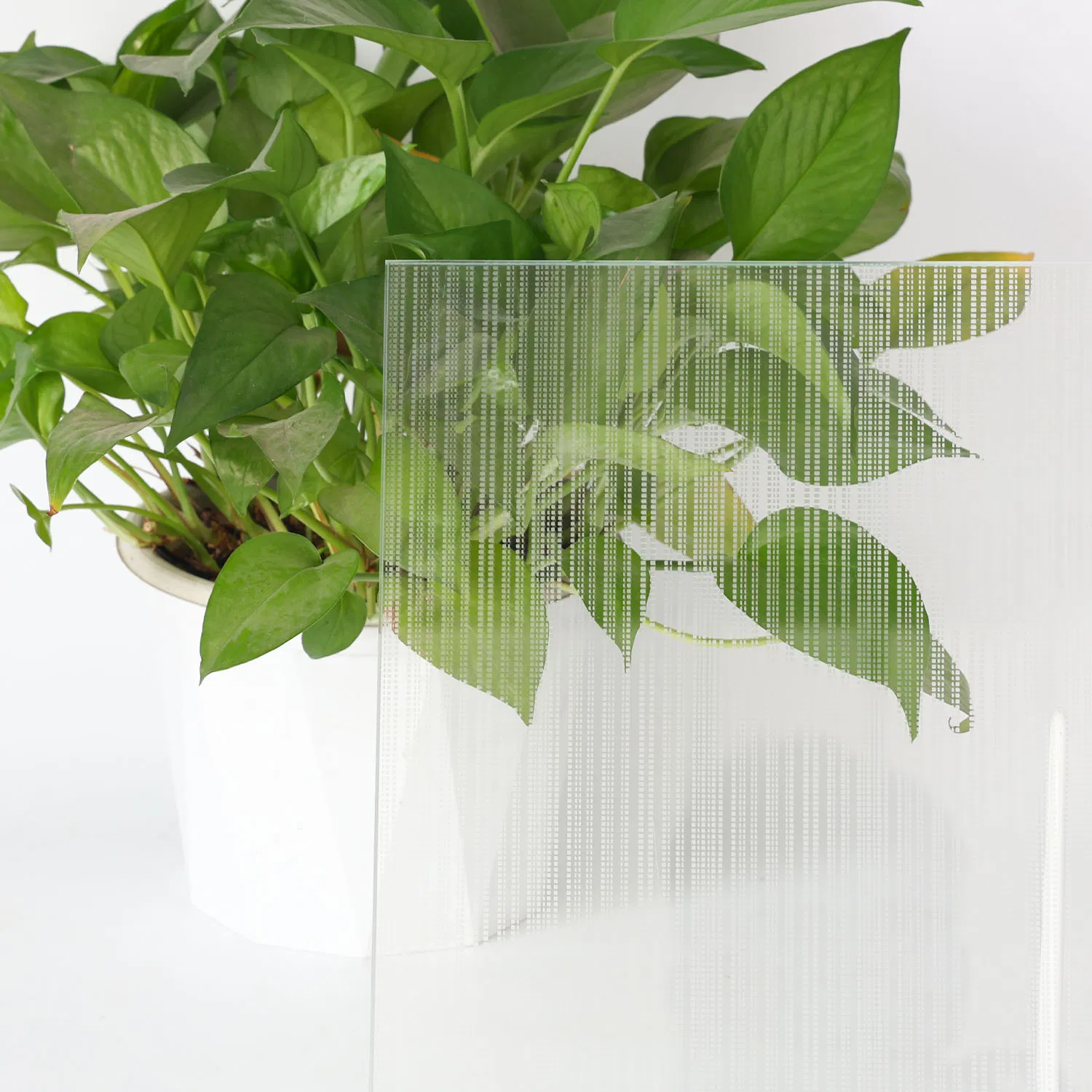 Comfortable Matte Surface Glass for Luxurious Bathroom Glass Spaces