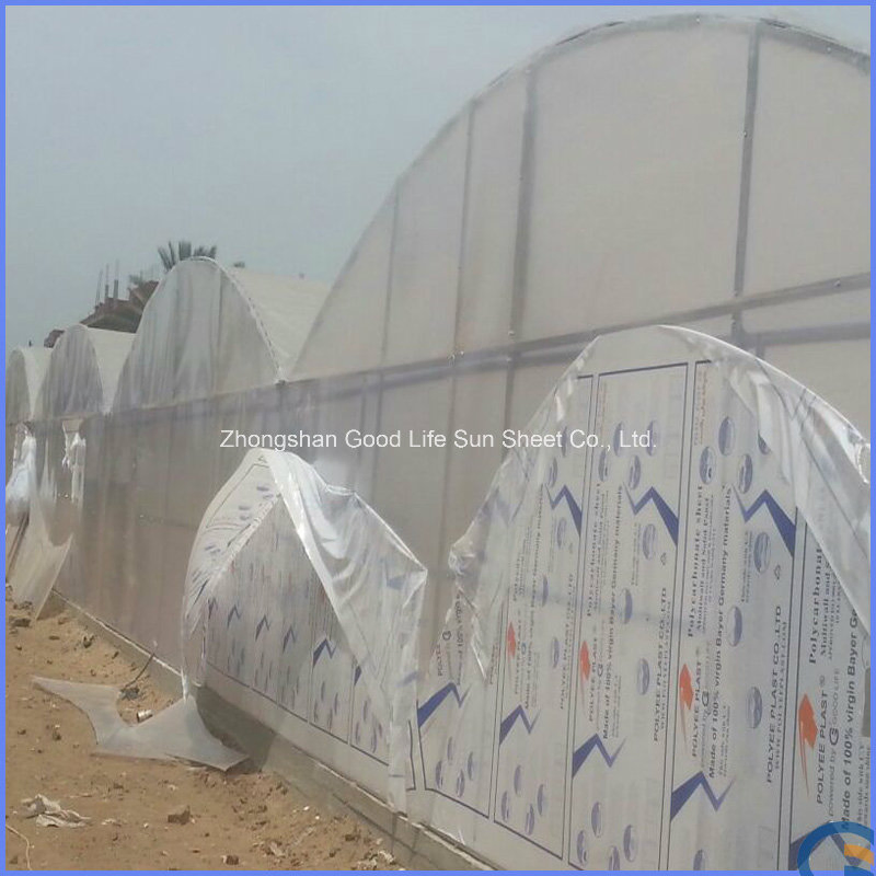 Roof Sheets Price Per Sheet/ Plastic Sheet/Commercial Greenhouses