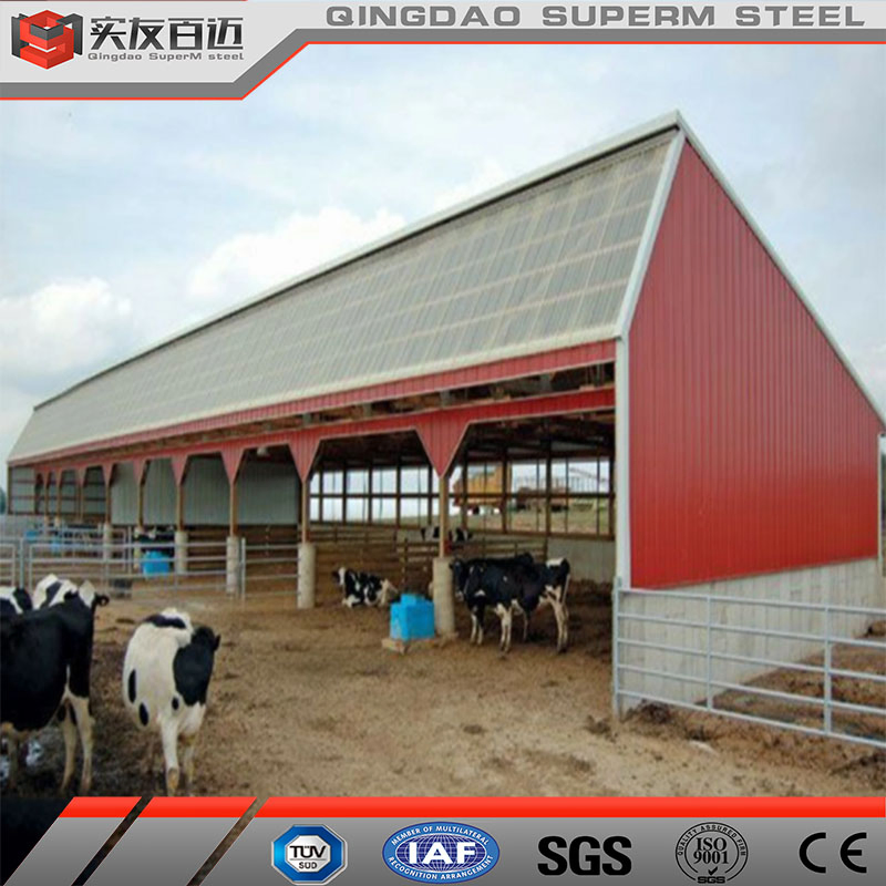 Prefabricated Cattle Goat House Steel Structure Dairy Farm Building