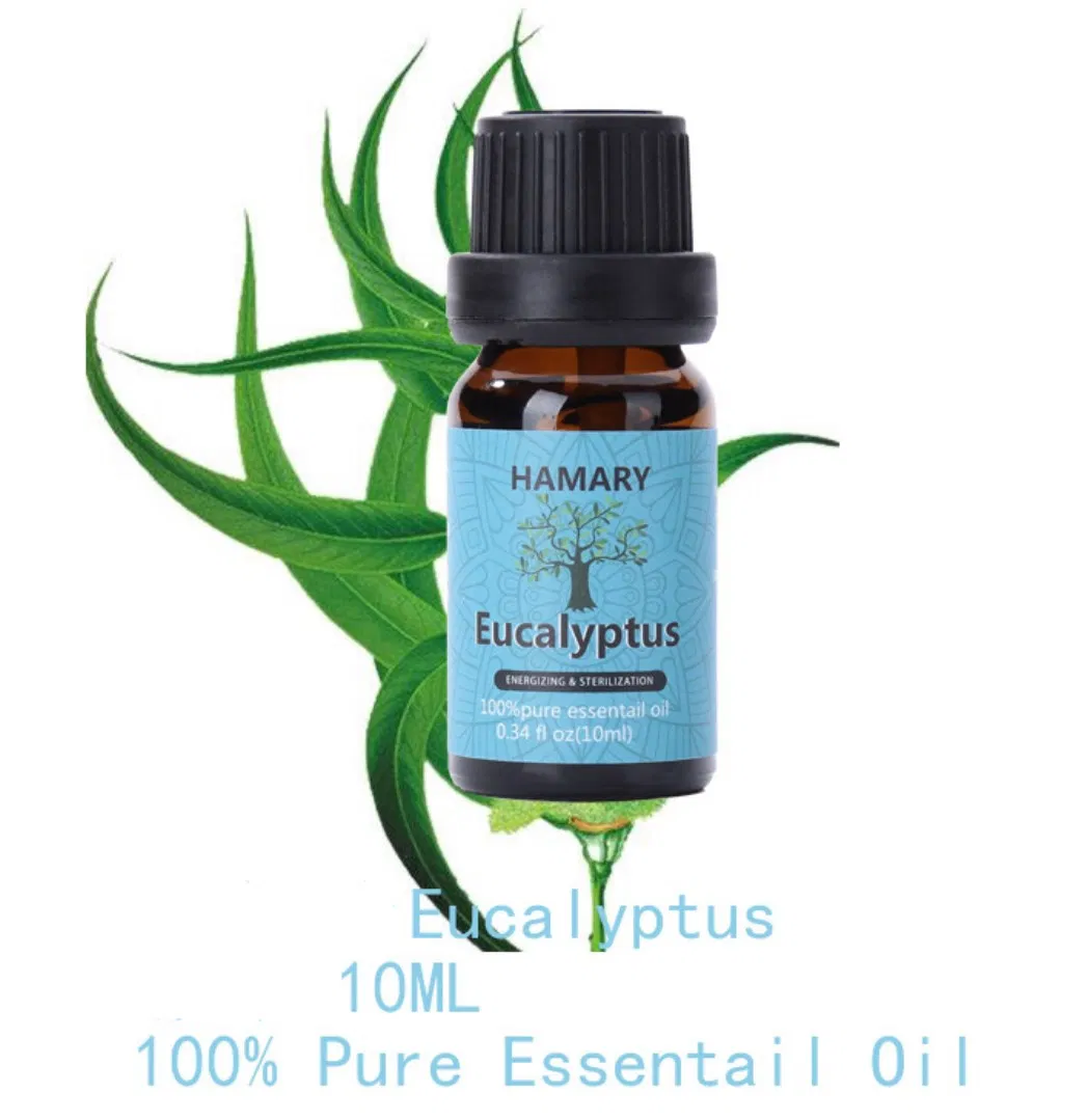 Wholesales Private Label Promoting Healthy Digestion Peppermint Oil 10ml