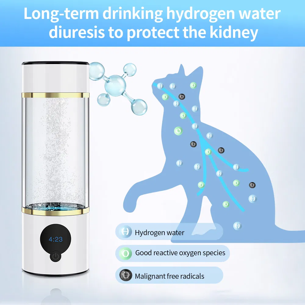Suyzeko High Ppb Spe Pem Technology Hydrogen Rich Water Bottle