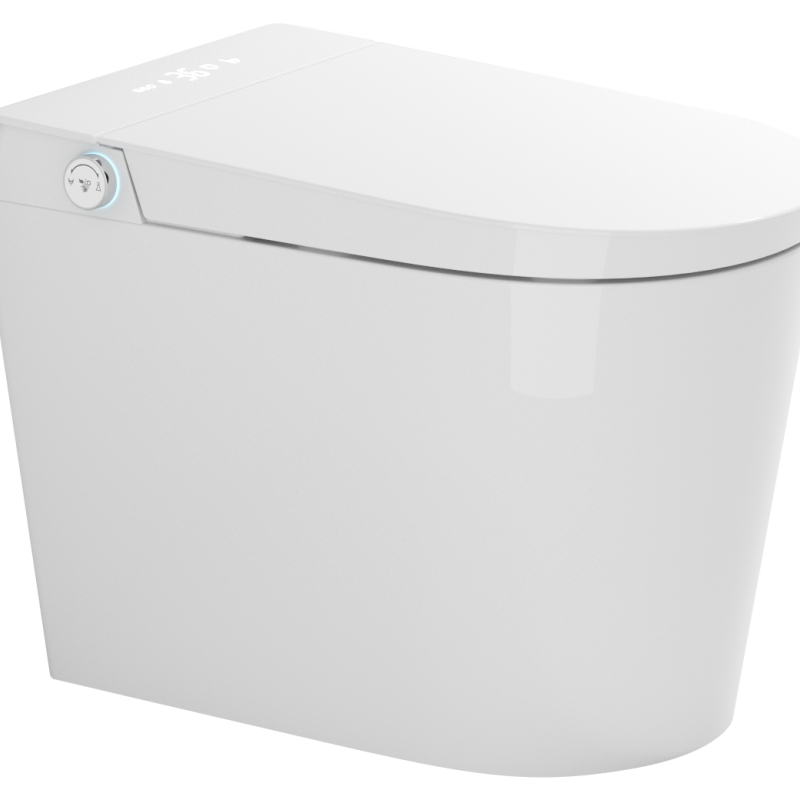 Simple and Popular Fashionable Intelligent Toilet