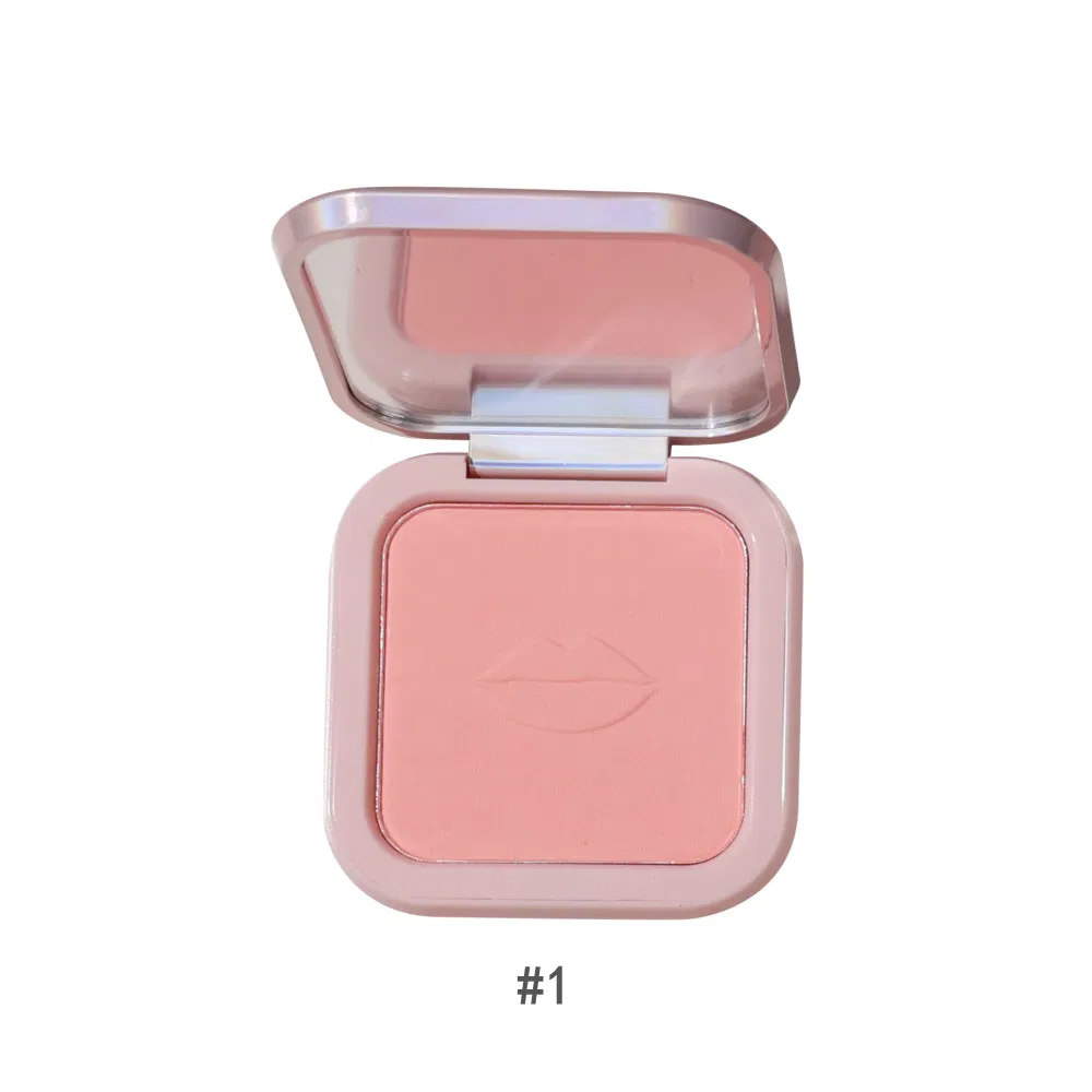 Private Label High Pigmented Blusher Powder Contour Highlight Powder Long Lasting 6 Colors