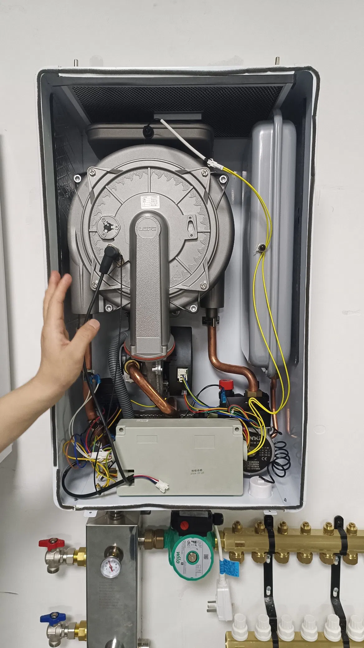 Настенный газовый котел-водонагреватель для дома