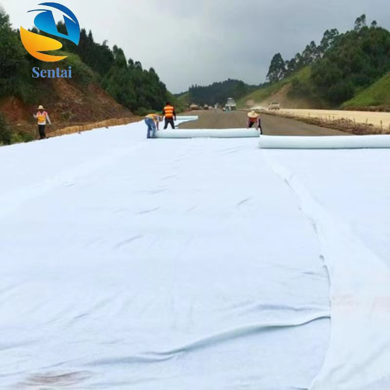 High Strength Polypropylene Geotextile 300g 600g 800g 1000g Non-Woven Short Fiber Needle Punched Woven Geotextile Cushion Layer Gravel Permeable Geotextile