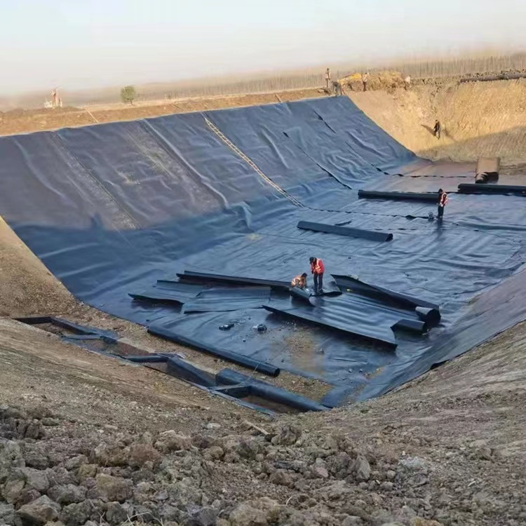 Geosynthetics High Density Polyethylene Pond Liner Poly Pond Liner Geomembranes for Fish Farming in Thailand