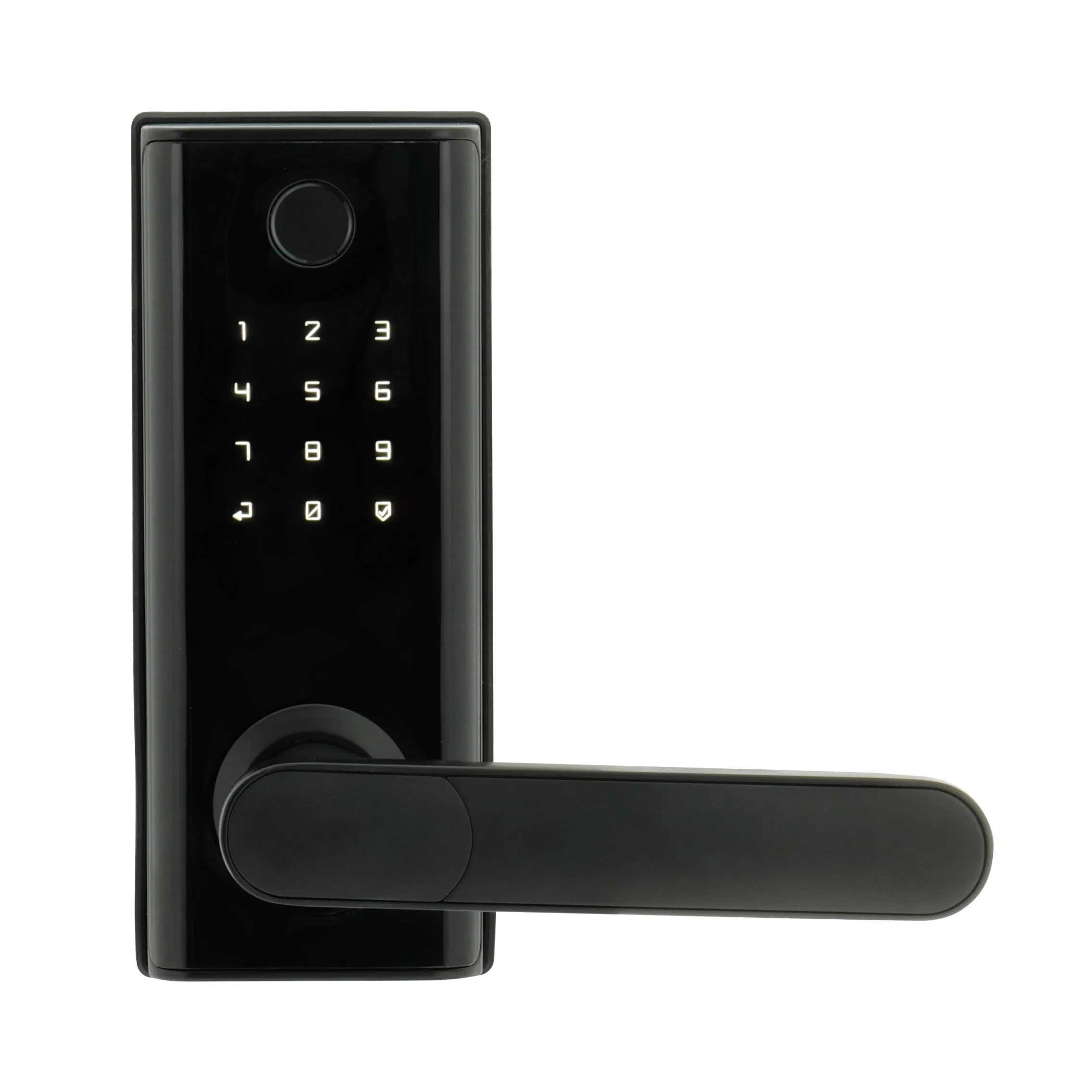 American Standard Waterproof Keyless Entry Tuya/Tt Wireless Digital Password Fingerprint Mf Card Smart Door Lock (A014)