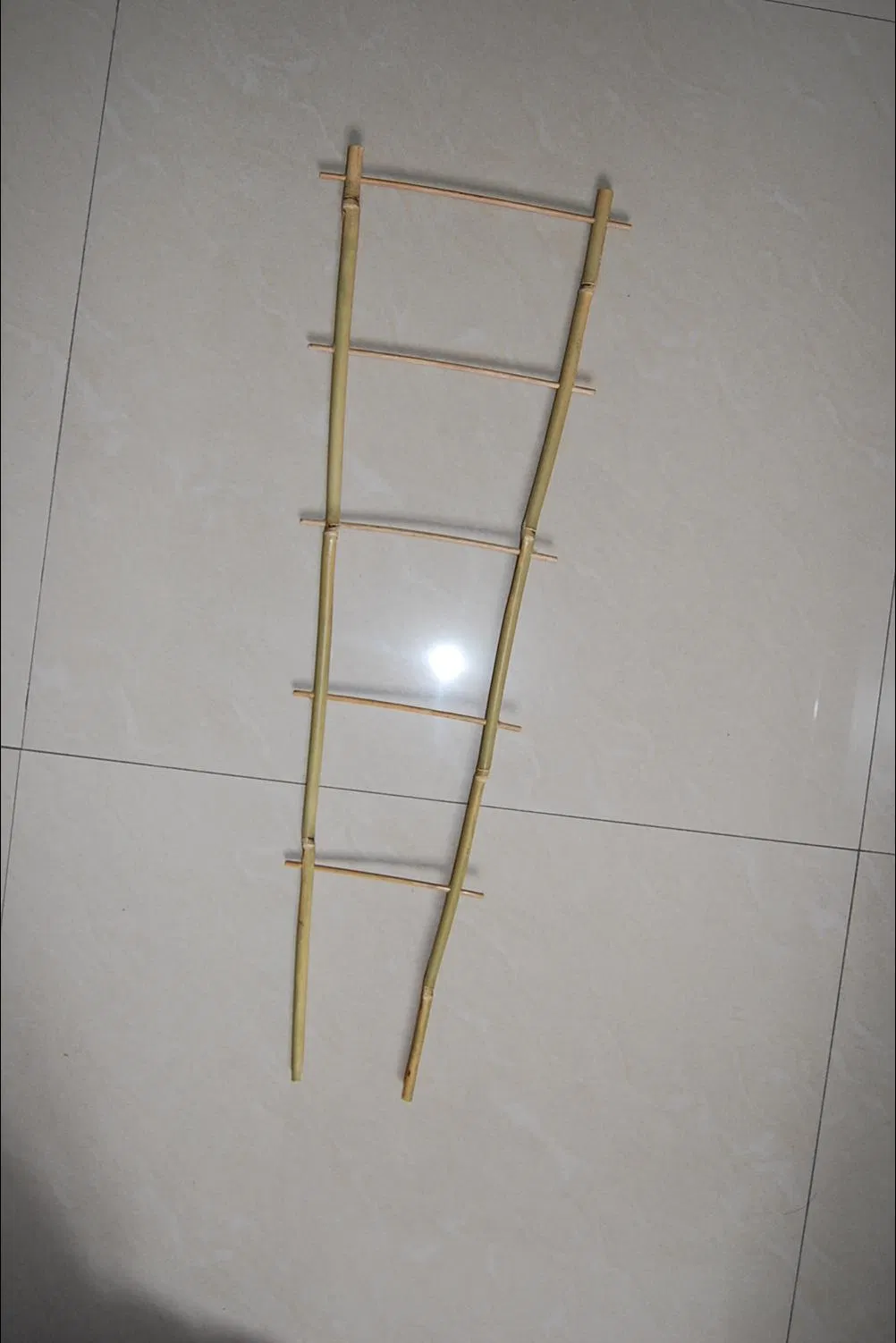 Bamboo Trellis Fan Trellis Bamboo Ladder