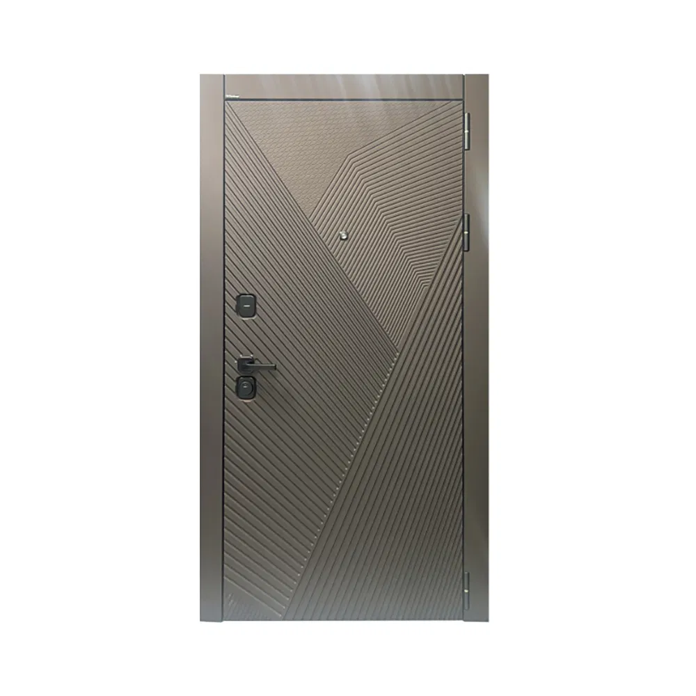 Modern Exterior Main Gate Door