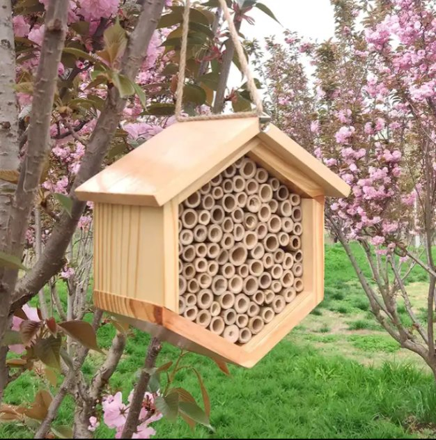 Garden Hanging Wooden Native Bee Hive Hexagon House Wooden Insect Mason Bee Hotel