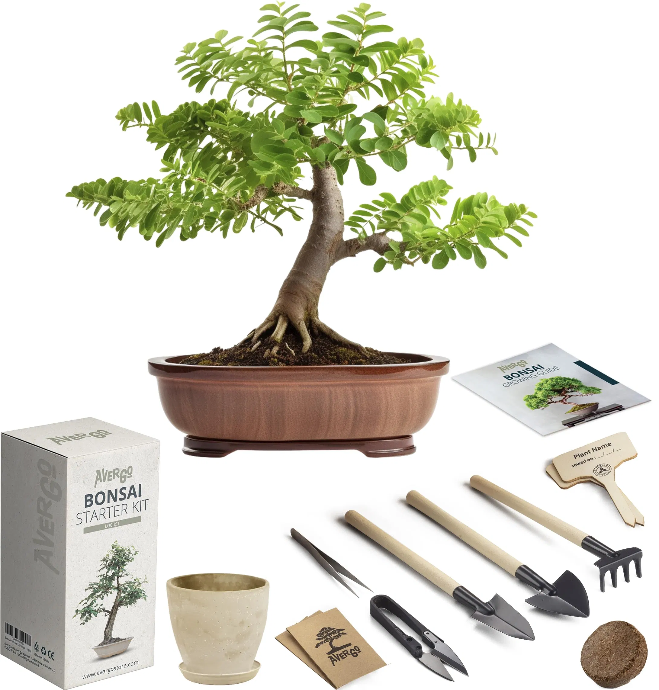 Bonsai Starter Kit W/Seeds Locust Bonsai Tree Complete Indoor Starter Kit for Growing Plants with Bonsai Seeds Tools Planters Gardening Gifts for Woman