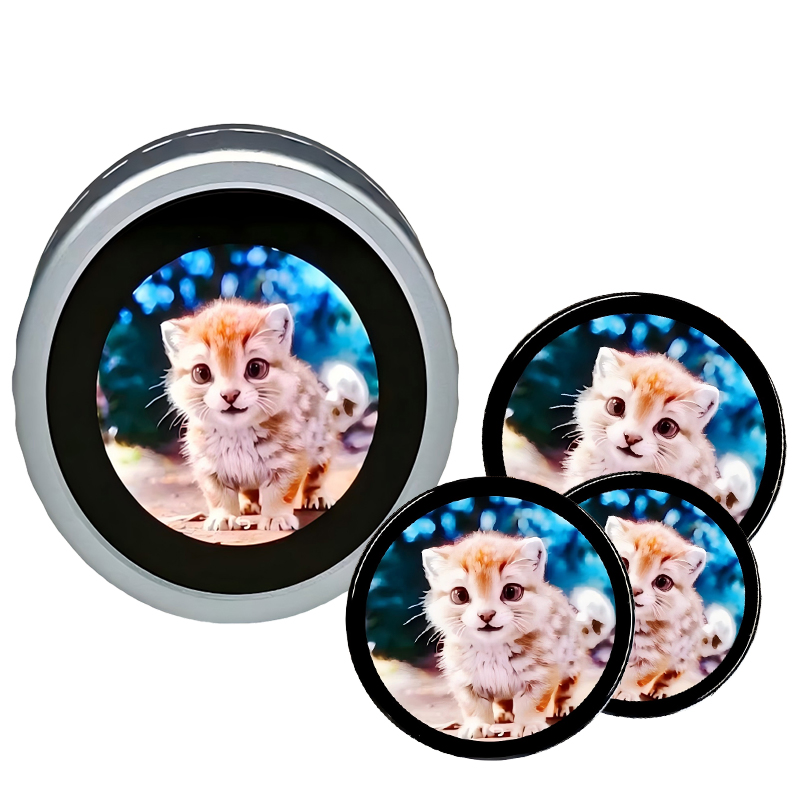 Custom 1.73 Inch Car Audio Bass Knob Screen Encoder 1.28 Inch Round Display Smart Rotary Display Control with Panel