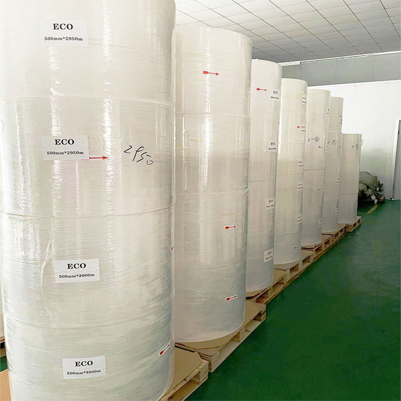 Eco Direct Thermal Paper Label Material