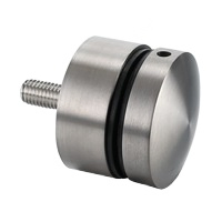 304/316 Stainless Steel Glass Clamp Wall Mounted on Tempered or Laminated