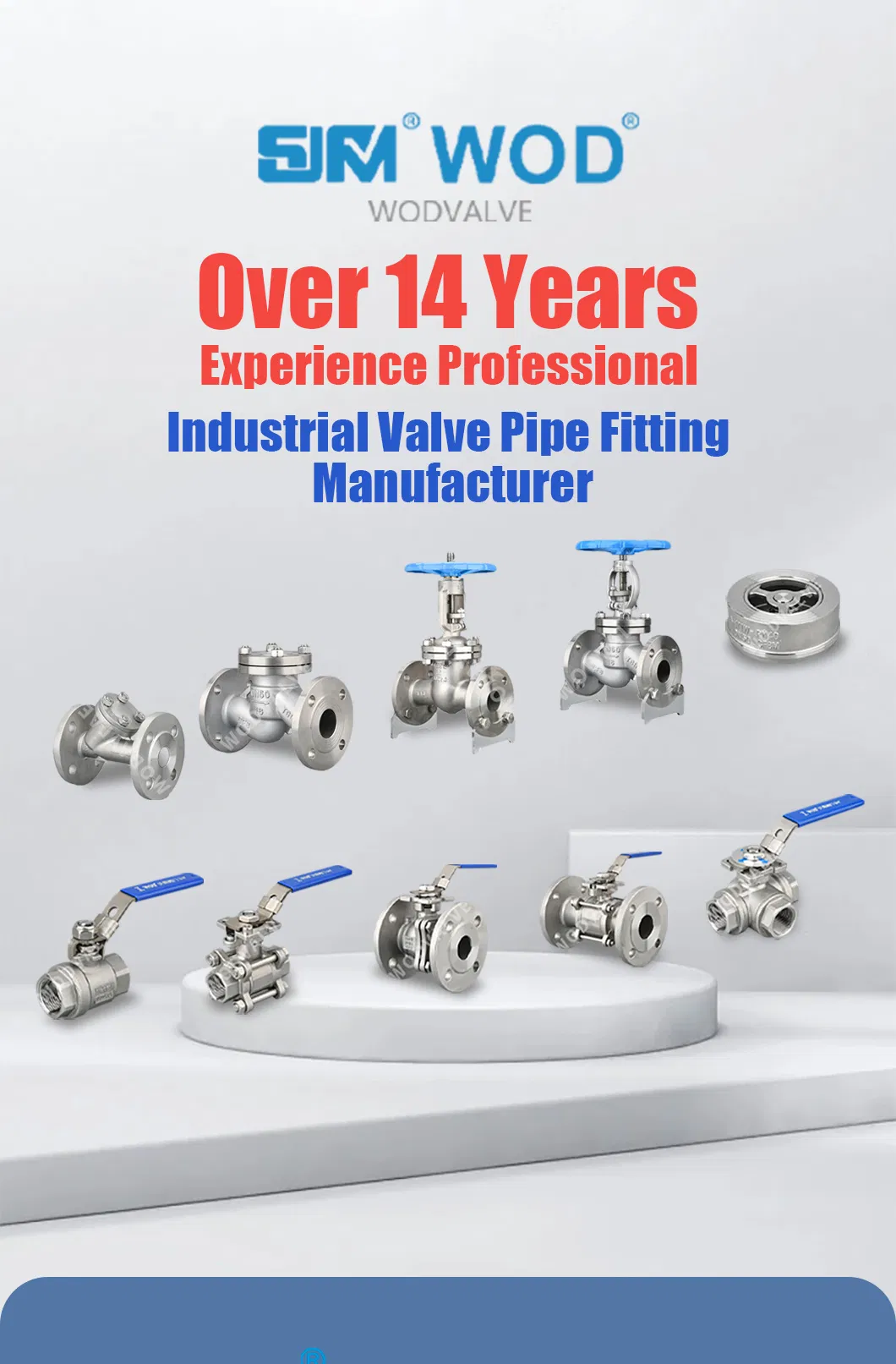 Common External Installation Sjfm/Wod/OEM Carton, Wooden Case Bsp Thread Strainer Y Filter