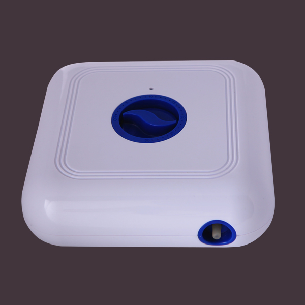 300mg/H Ozone Generator Air Water Purifier for Fruit and Vegetables