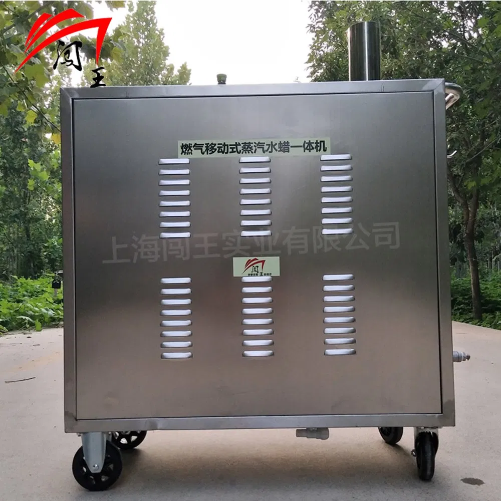 High - Performance Pump Gas-Heated Intelligent Control Car Steam Cleaner Automatic Machine