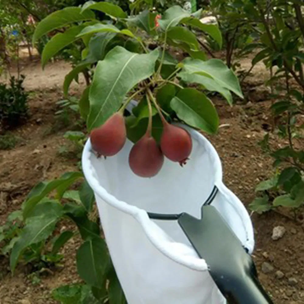 Gardening Tools Metal Fruit Picker Orchard Gardening Apple Peach High Tree Apple Picking Tools Fruit Catcher Collector