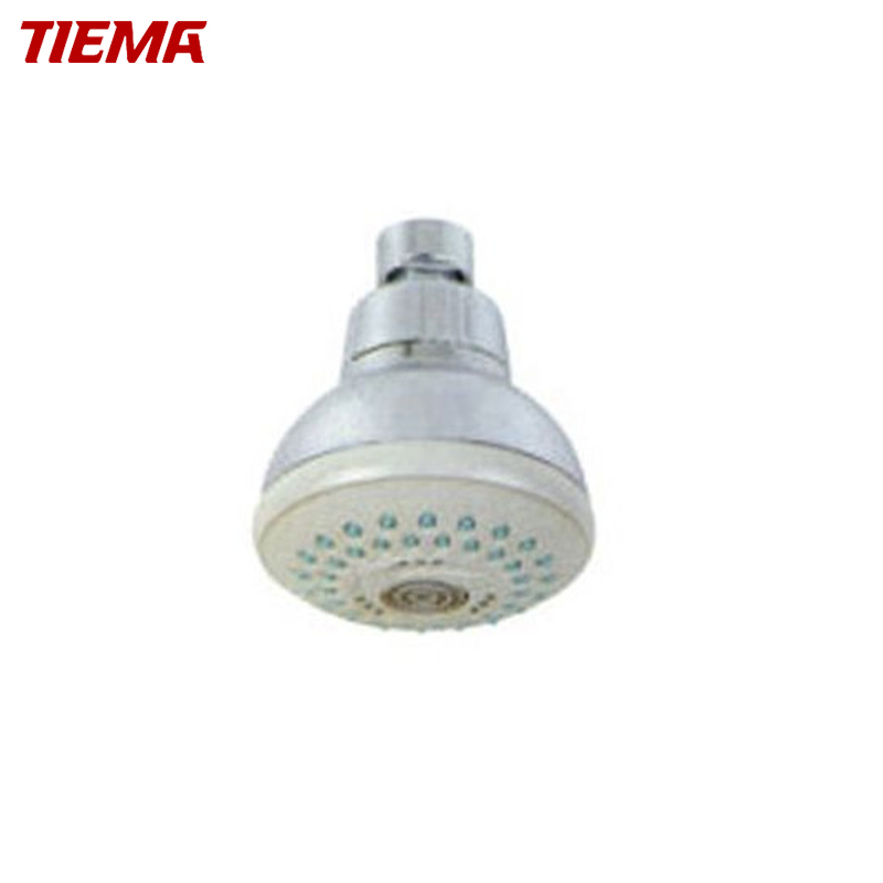 New Design Shower Head (ZSW0105)
