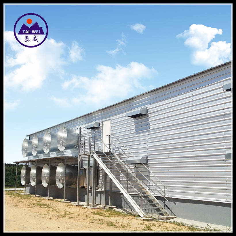Prefabricated / Prefab Steel Structure Material/Warehouse / Workshop / Construction Building for Chicken House and Egg Layer Poultry Farm (TW1091J)