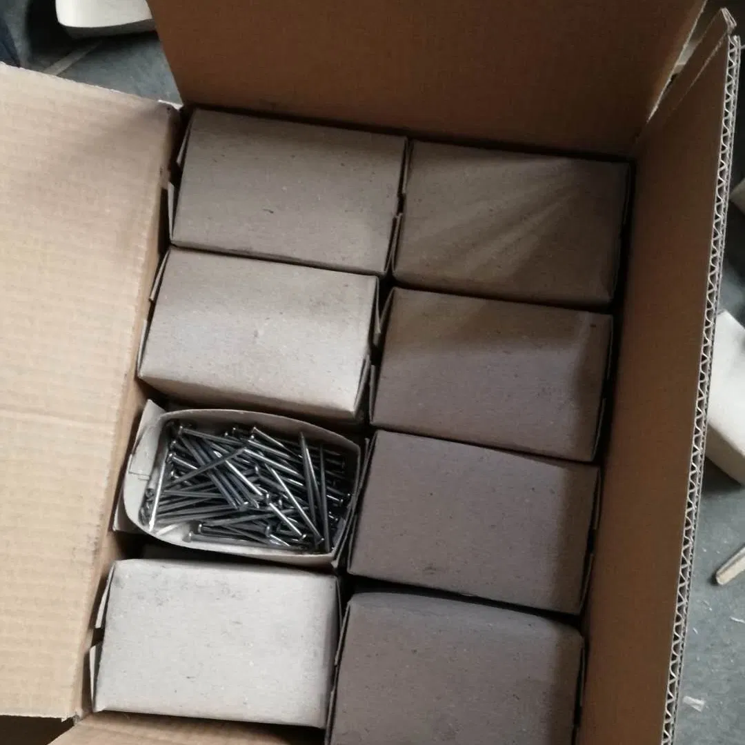 Common Nails 2 Inch Polished Wood Nail for Construction with Low Price