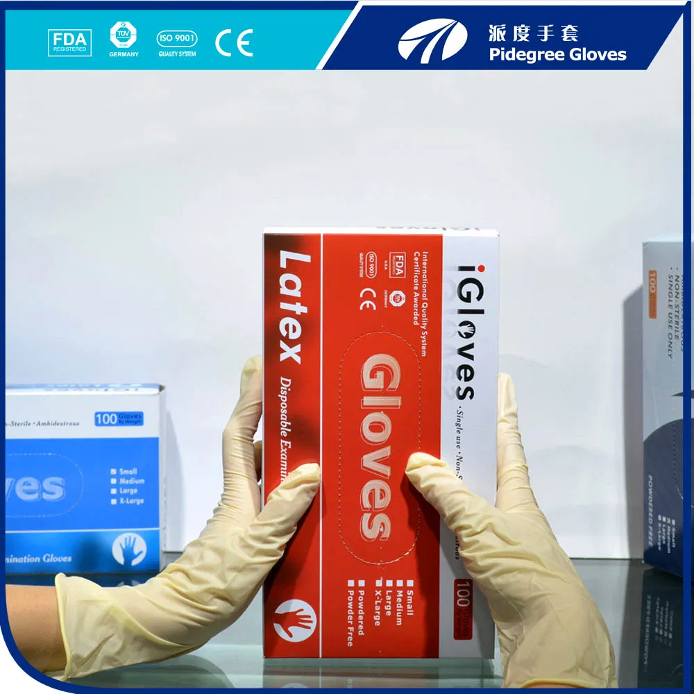 Disposable Latex Examination Gloves Malaysia Manufacturer