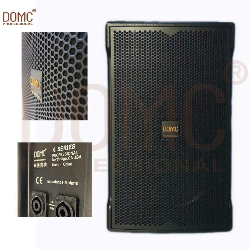 Premium 10-Inch Stage Speaker for Djs and Performers