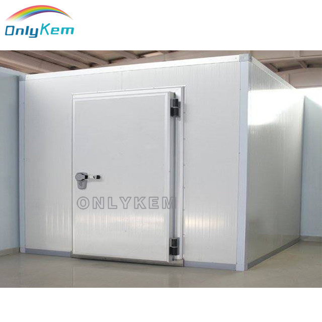 Cooling Room/Walk in Chiller for Food Processing Raw Poultry Storage Freezer
