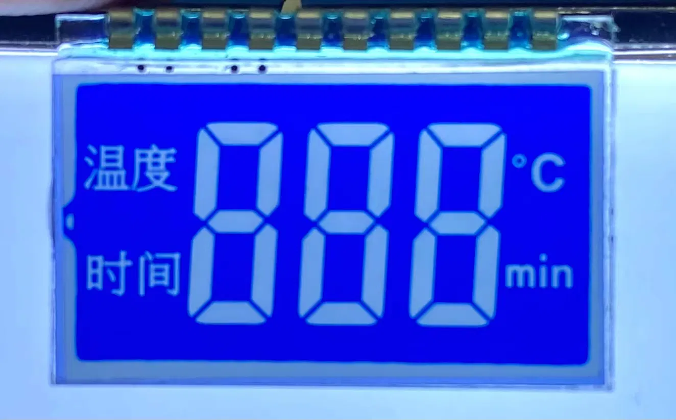 Custom Medical Health Instrument 7 Segment LCD Display with White Backlight