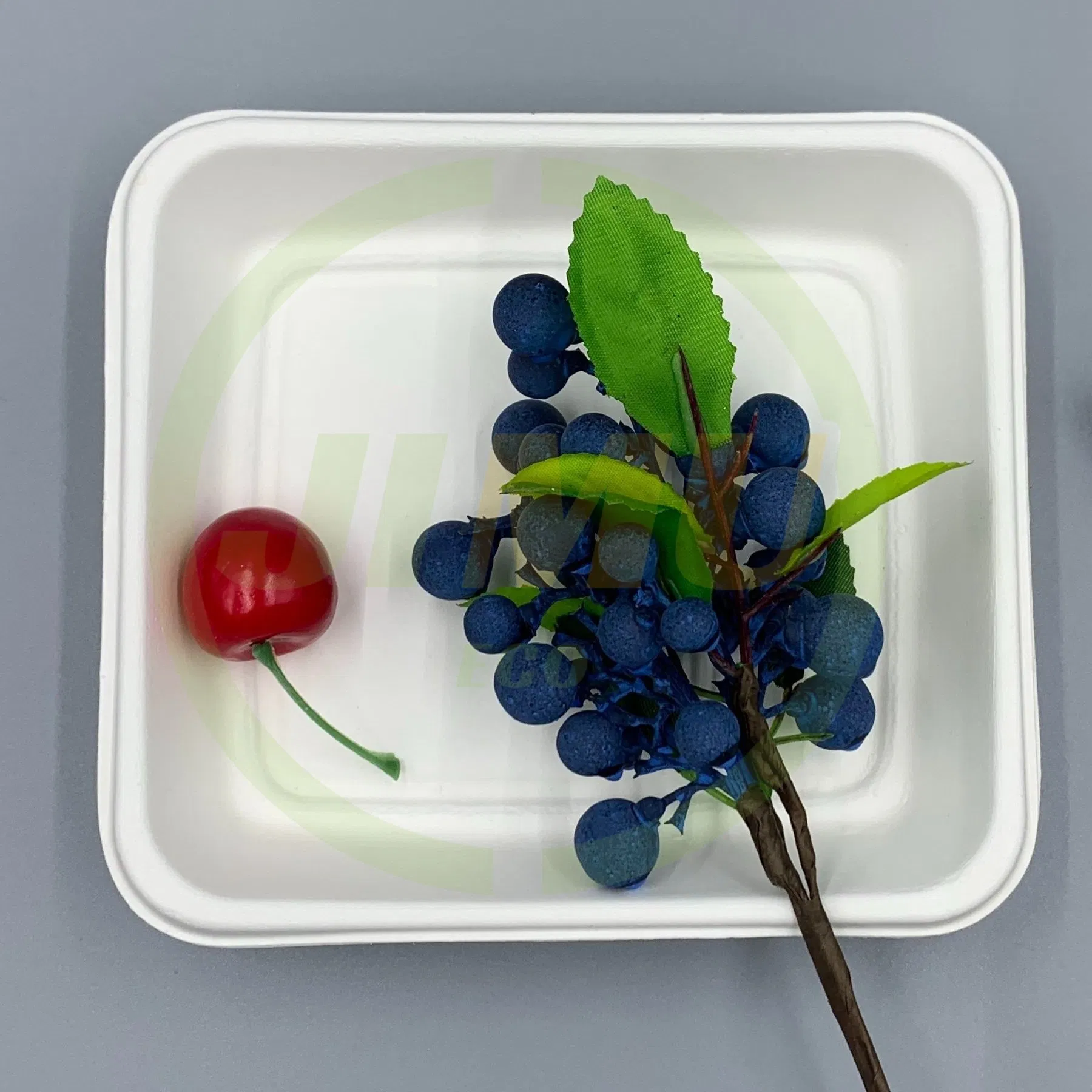 100% Natural Bagasse Pulp Biodegradable Disposable Square Dish Salad Plate