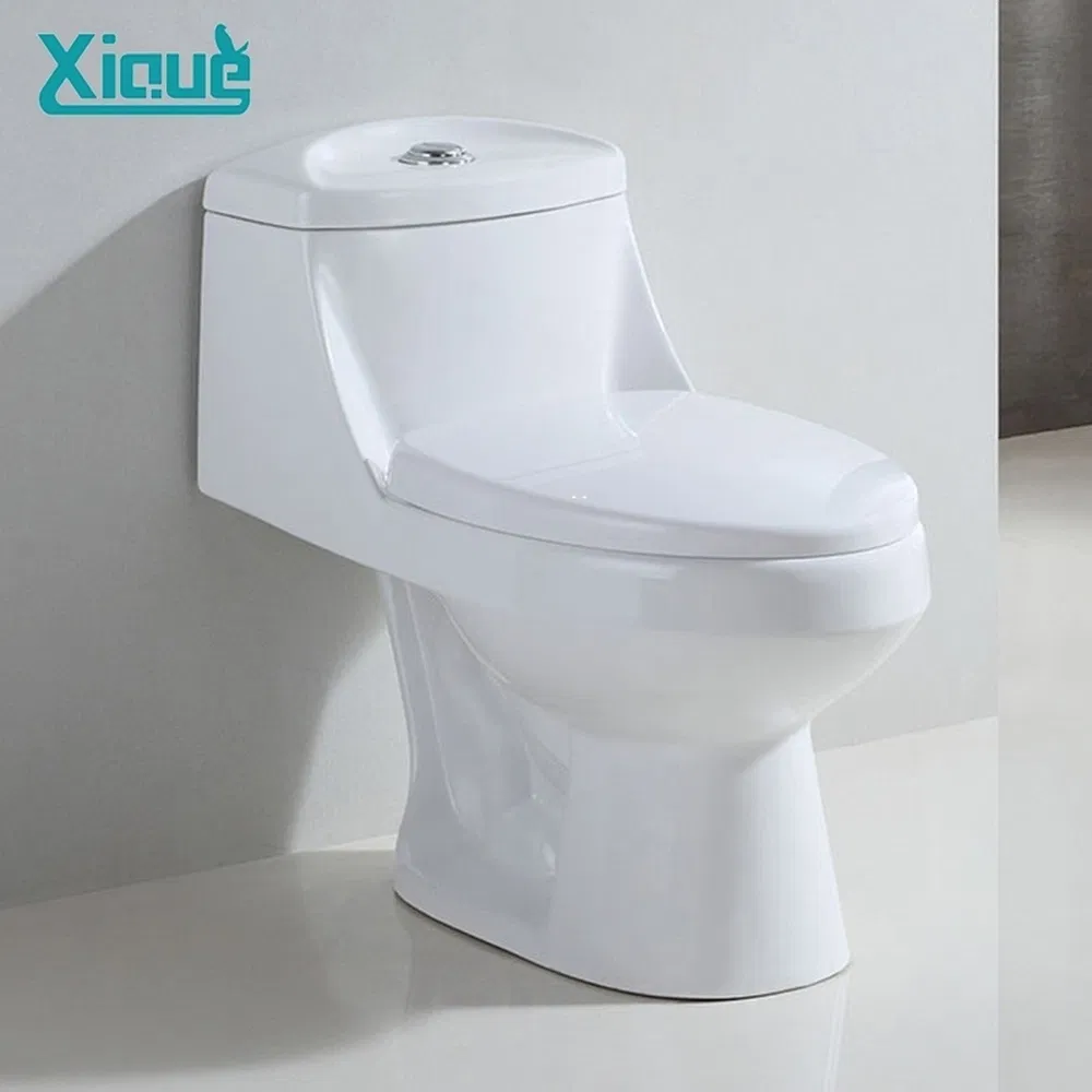 Ceramic Toilet Bowl Floor Mounted Toilet Set for Retail Renovation