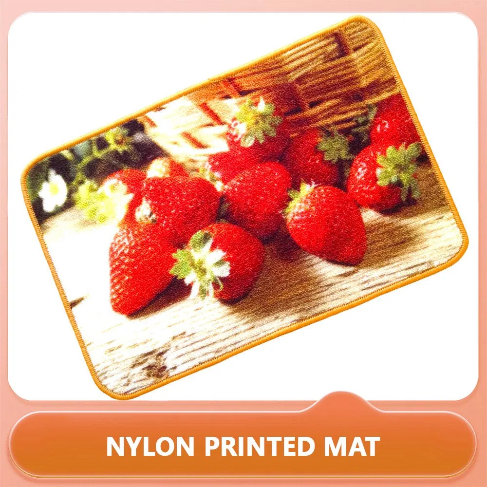 Home Indoor Custom Logo Outdoor Front Door Printed Carpet, Nylon Printed Carpet