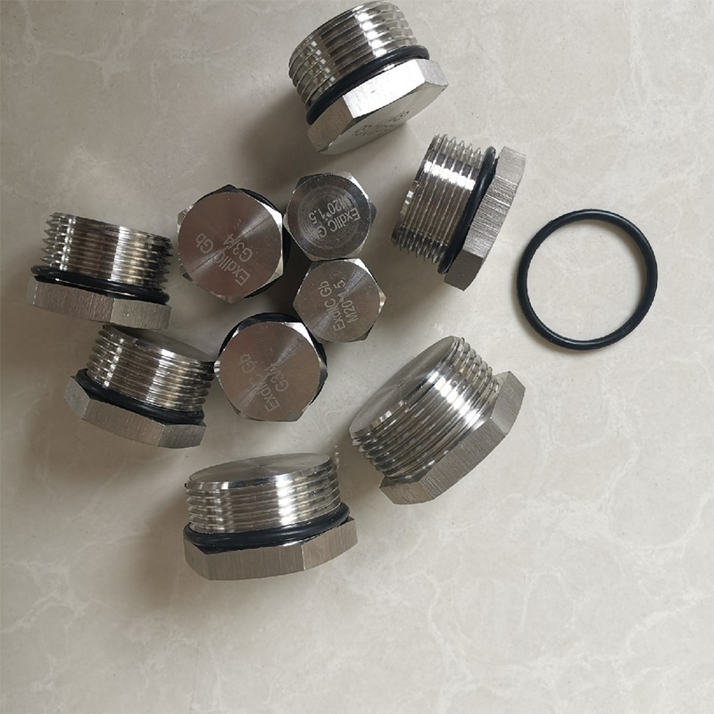 304 Stainless Steel Countersunk Plug Solid with Flange Hex Head ED Plug