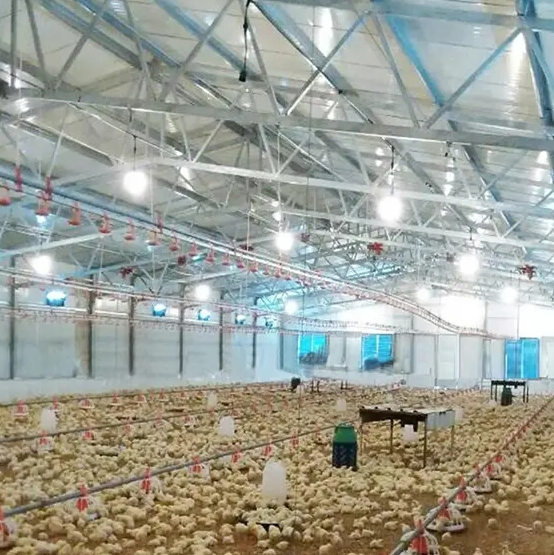 Metal Manufacturing and Processing of Steel Framed Poultry Houses