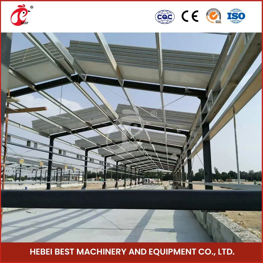 Bestchickencage Steel Poultry House China House Steel Chicken Building Manufacturer Custom Good Looking Steel Structure Chicken House