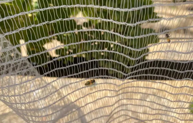 High Strength UV Stabilized HDPE Hail Netting for Orchard & Vineyard Canopy Protection