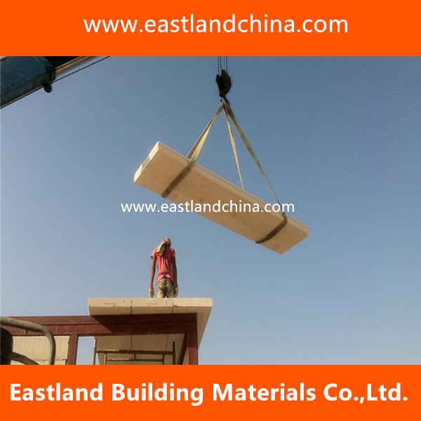 Cost Effective Aerated Concrete AAC/Alc Panel for Fireproof Wall From China