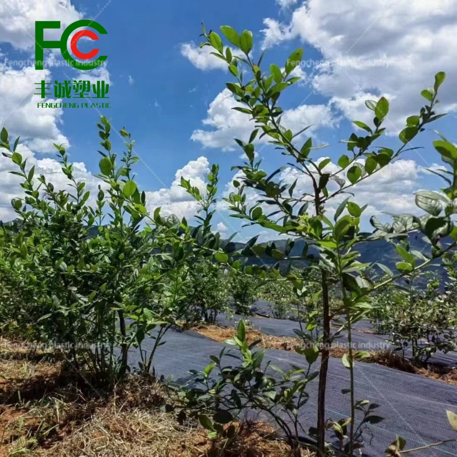 Eco-Friendly Weed Mat for Weed Control and Sustainable Ground Cover